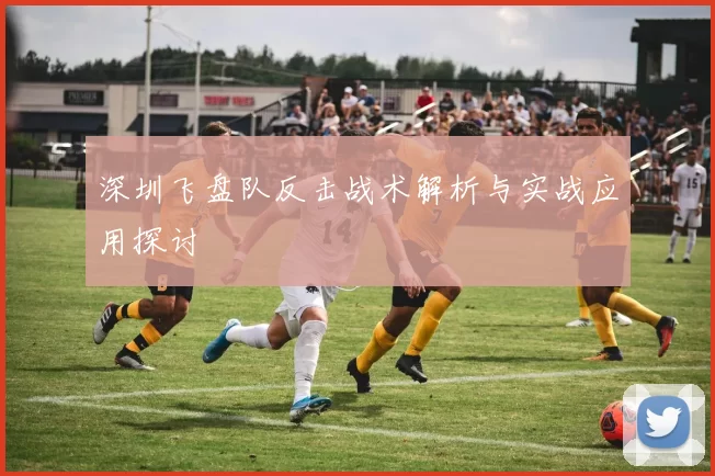 深圳飞盘队反击战术解析与实战应用探讨