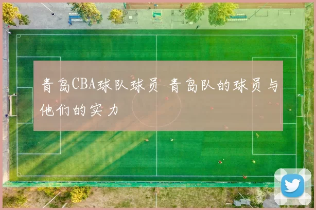 青岛CBA球队球员 青岛队的球员与他们的实力