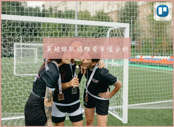 英超球队诺维奇市值分析