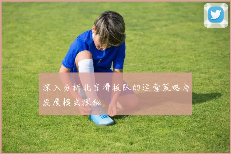 深入分析北京滑板队的运营策略与发展模式探秘