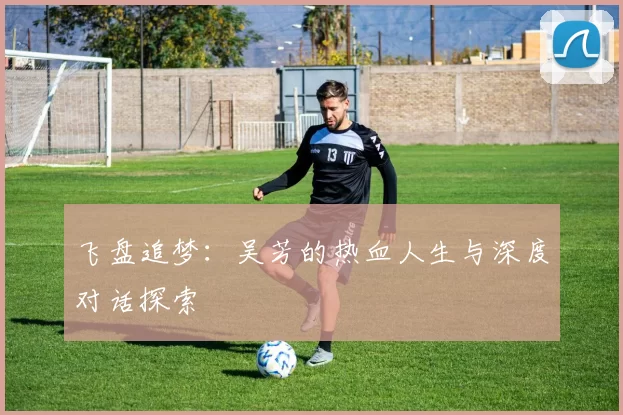 飞盘追梦：吴芳的热血人生与深度对话探索