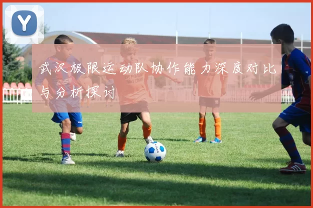 武汉极限运动队协作能力深度对比与分析探讨