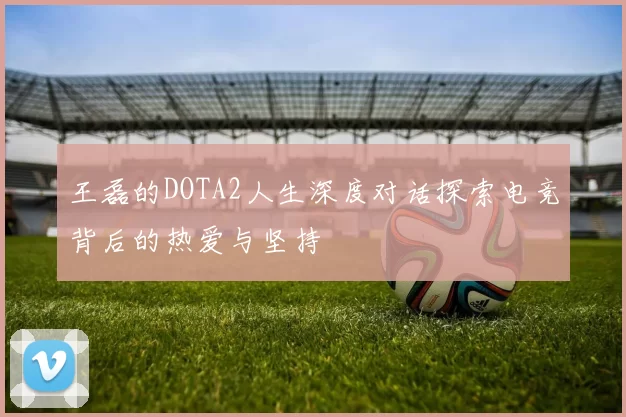 王磊的DOTA2人生深度对话探索电竞背后的热爱与坚持