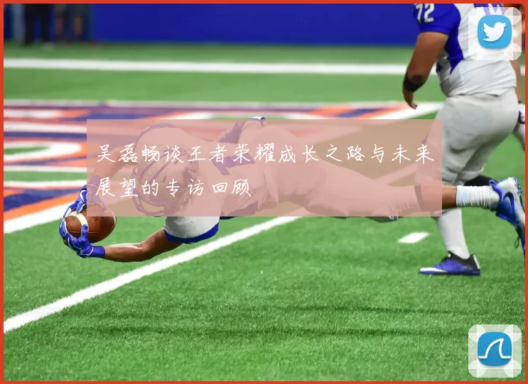 吴磊畅谈王者荣耀成长之路与未来展望的专访回顾