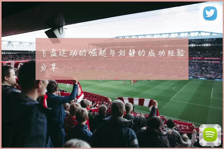 飞盘运动的崛起与刘静的成功经验分享