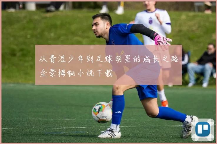 从青涩少年到足球明星的成长之路全景揭秘小说下载