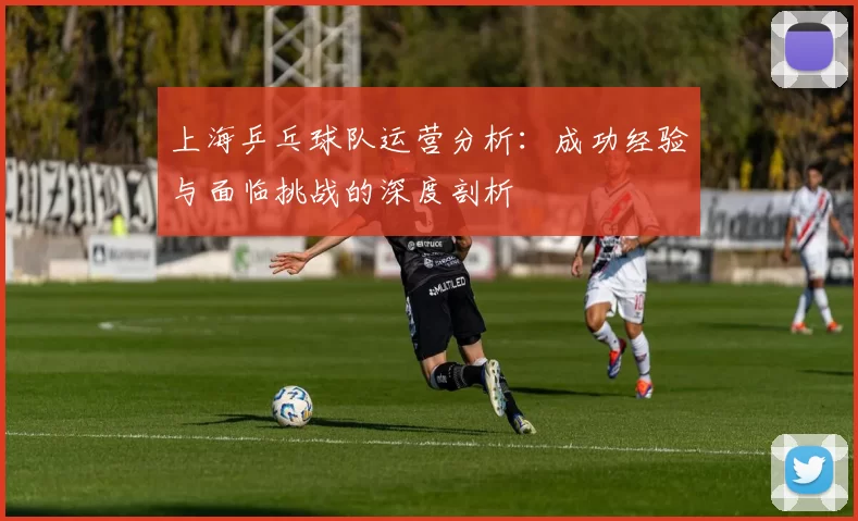 上海乒乓球队运营分析：成功经验与面临挑战的深度剖析
