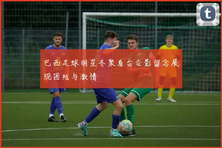 巴西足球明星齐聚看台合影留念展现团结与激情