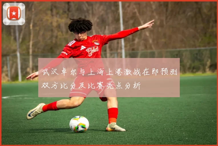 武汉卓尔与上海上港激战在即预测双方比分及比赛亮点分析