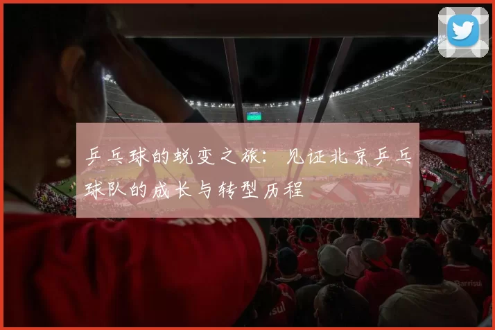 乒乓球的蜕变之旅：见证北京乒乓球队的成长与转型历程