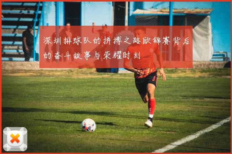 深圳排球队的拼搏之路欧锦赛背后的奋斗故事与荣耀时刻
