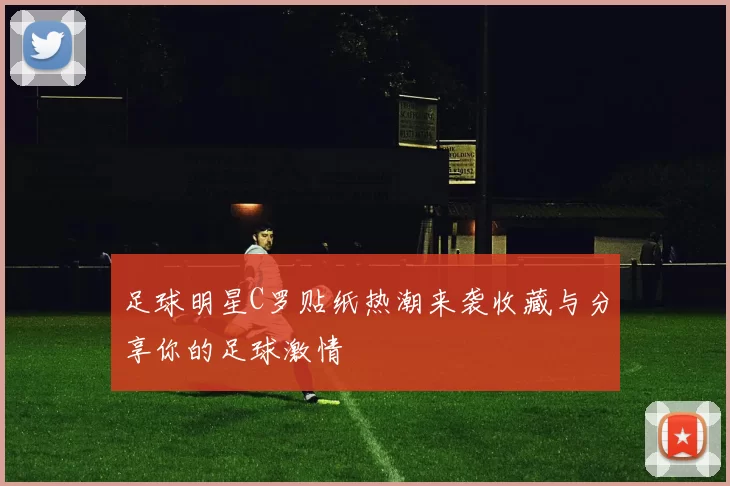 足球明星C罗贴纸热潮来袭收藏与分享你的足球激情