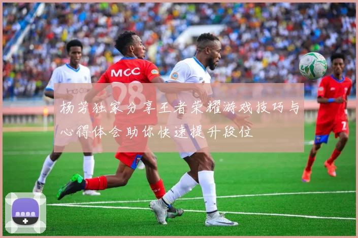 杨芳独家分享王者荣耀游戏技巧与心得体会助你快速提升段位
