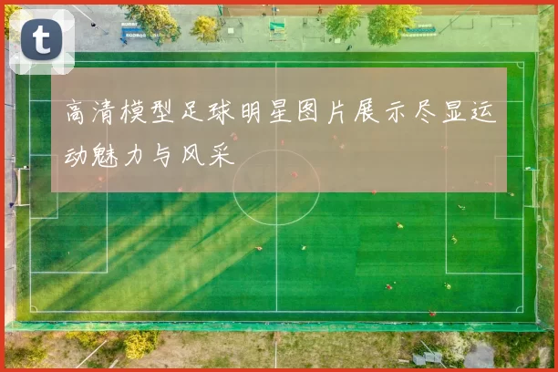 高清模型足球明星图片展示尽显运动魅力与风采
