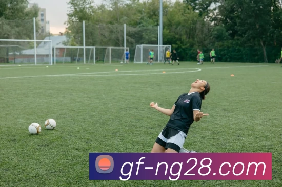 28圈平台生态图